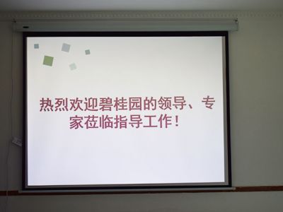 碧桂園領(lǐng)導(dǎo)、專家蒞臨德國(guó)CUALI磚麗指導(dǎo)工作！